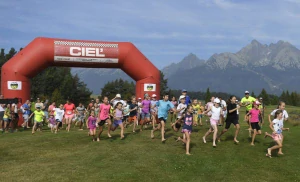 Prenájom cieľový oblúk Videocom 1