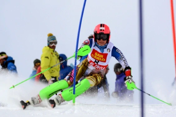 Slalomová tyč SOFT 25mm červená štetina 34cm