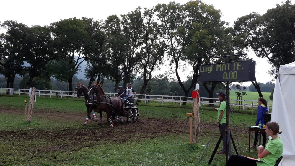 PRENÁJOM Časomiery pre jazdectvo