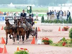 PRENÁJOM Časomiery pre jazdectvo