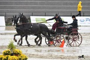 PRENÁJOM Časomiery pre jazdectvo