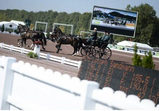 PRENÁJOM Časomiery pre jazdectvo