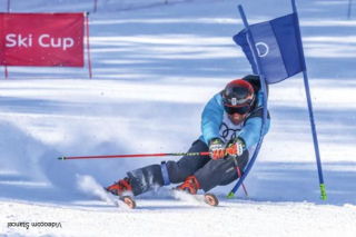 Slalomová tyč klbová TOP27